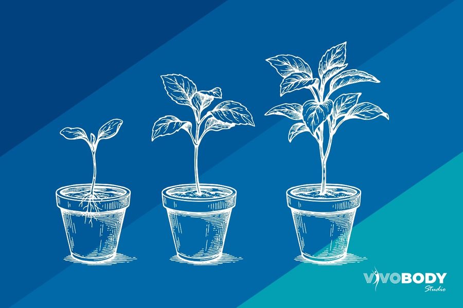 The Collagen Timeline: Why HIFU Results Take 3–6 Months
