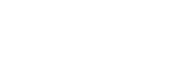 HAUS OF SKN Logo