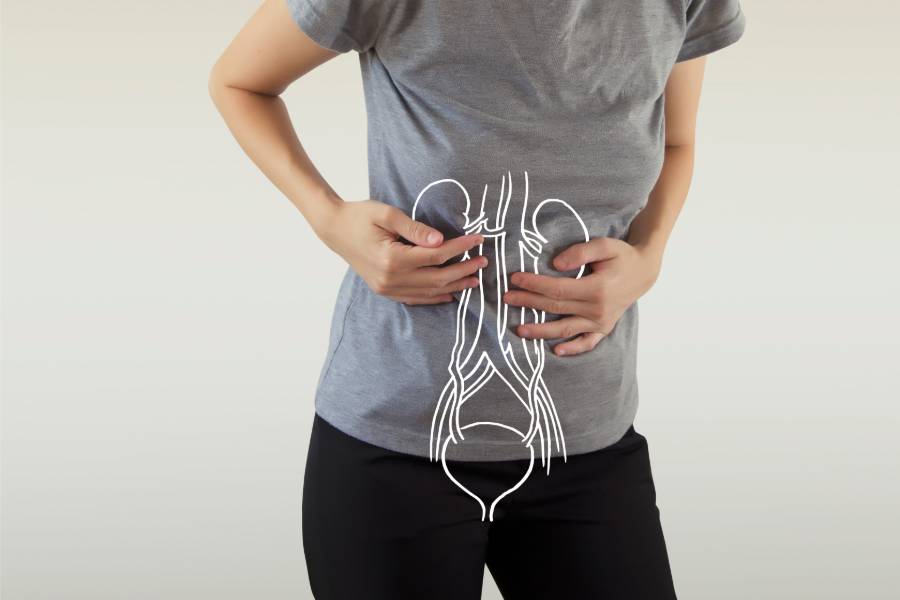 Line Drawing of Kidneys on Human Body