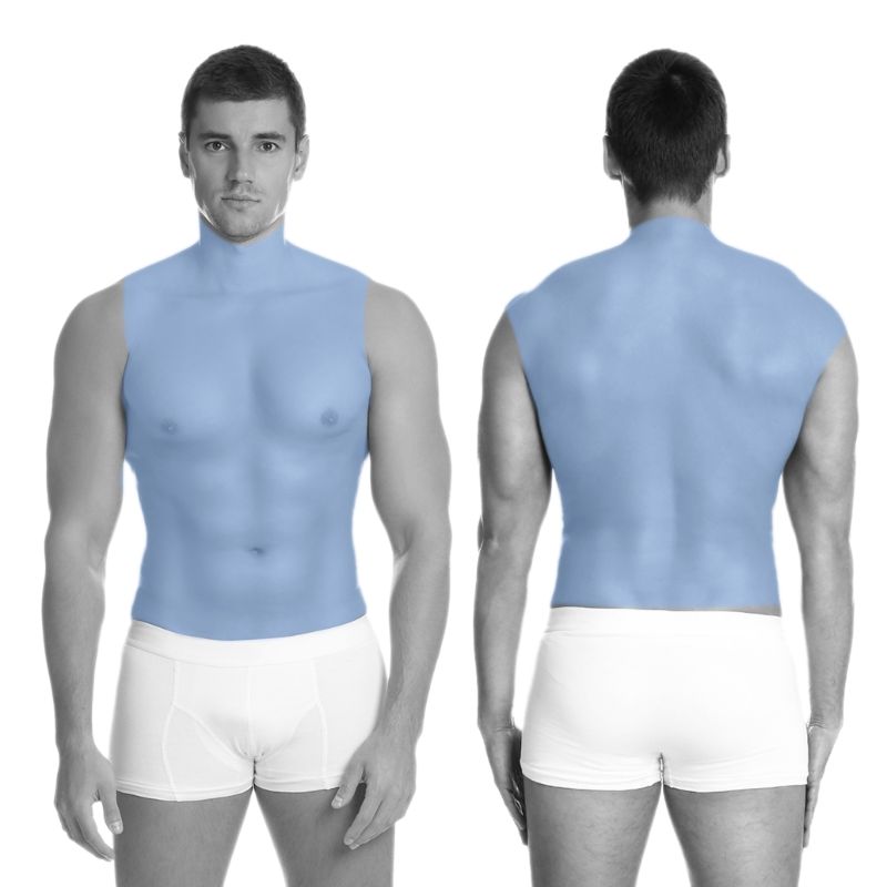 Full back, neck, chest and abdomen