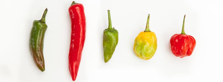 Fat burning foods